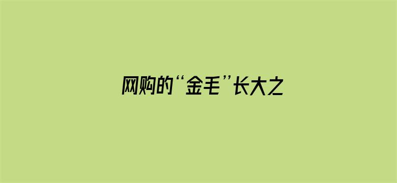 网购的“金毛”长大之后